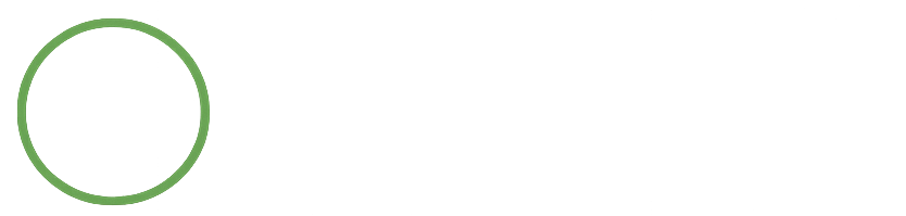 PremiumLiveVPN Logo